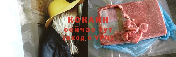 твердый Абаза