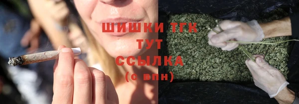 твердый Абаза