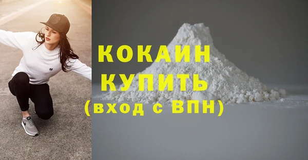 твердый Абаза