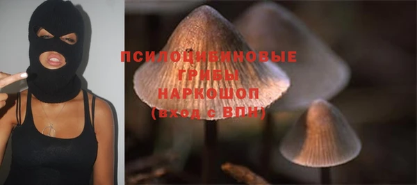 бошки Абинск