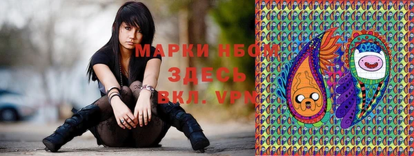 твердый Абаза