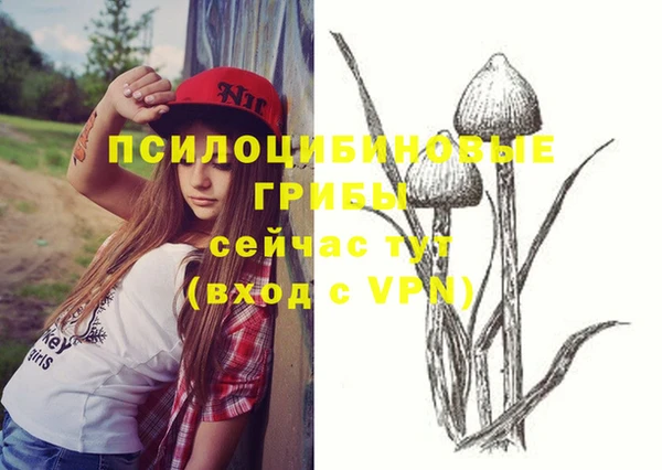 твердый Абаза