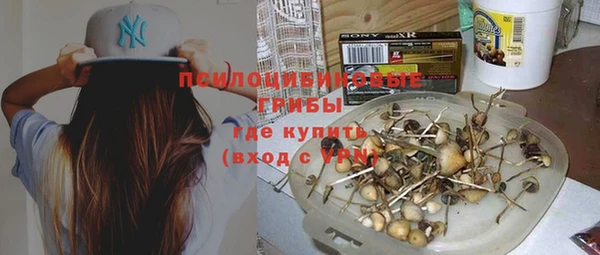 бошки Абинск